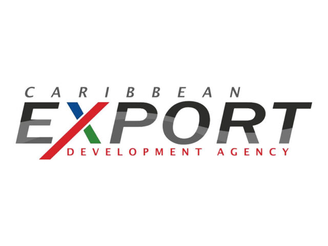 CarIb Export Logo