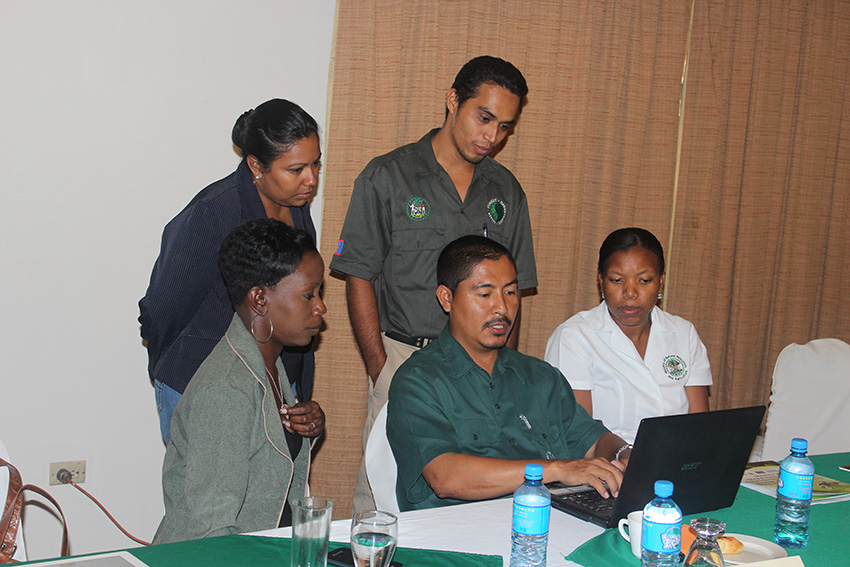 Workshop