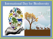 International-Day-for-Biodiversity-History.png